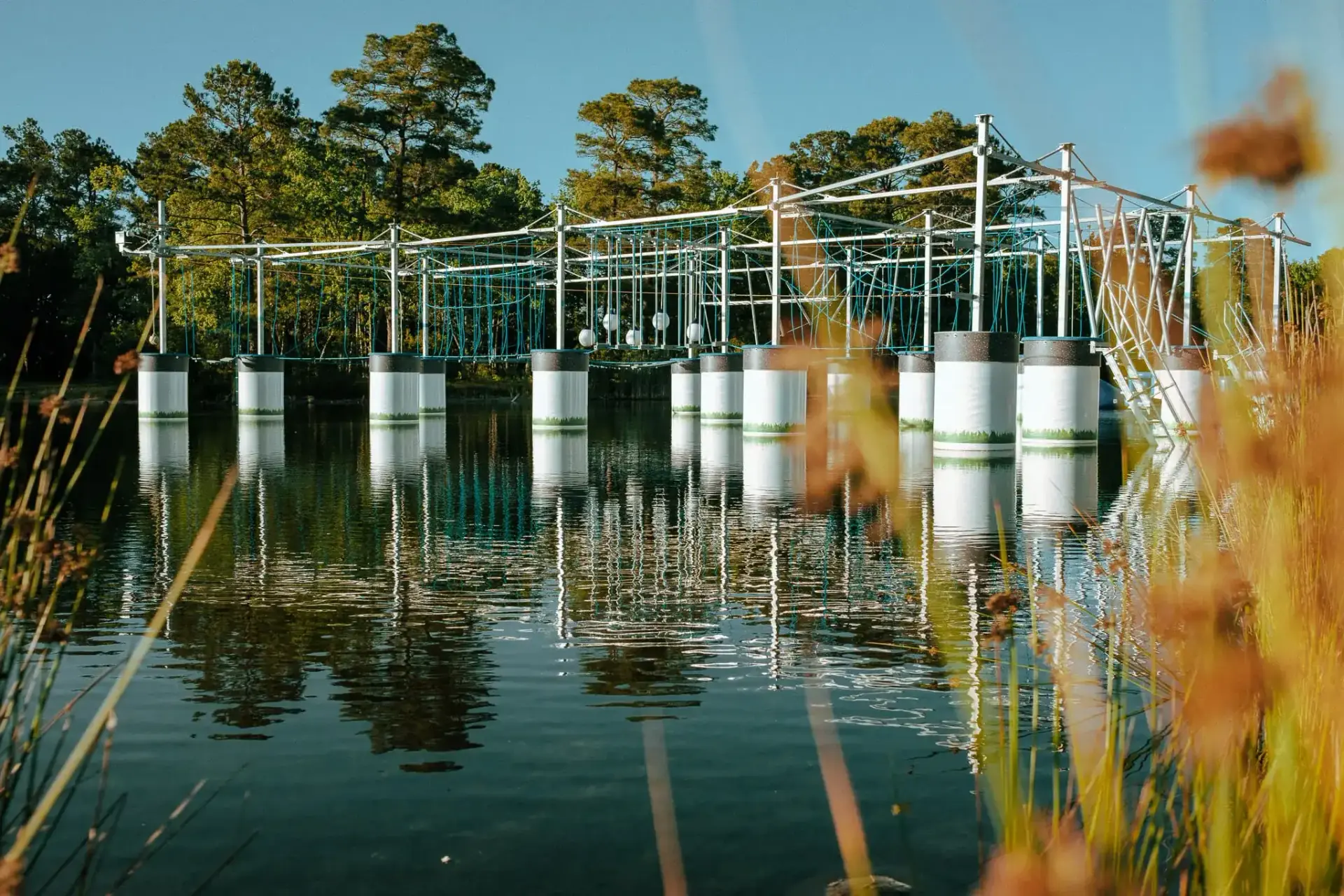 Ropes course above the water
